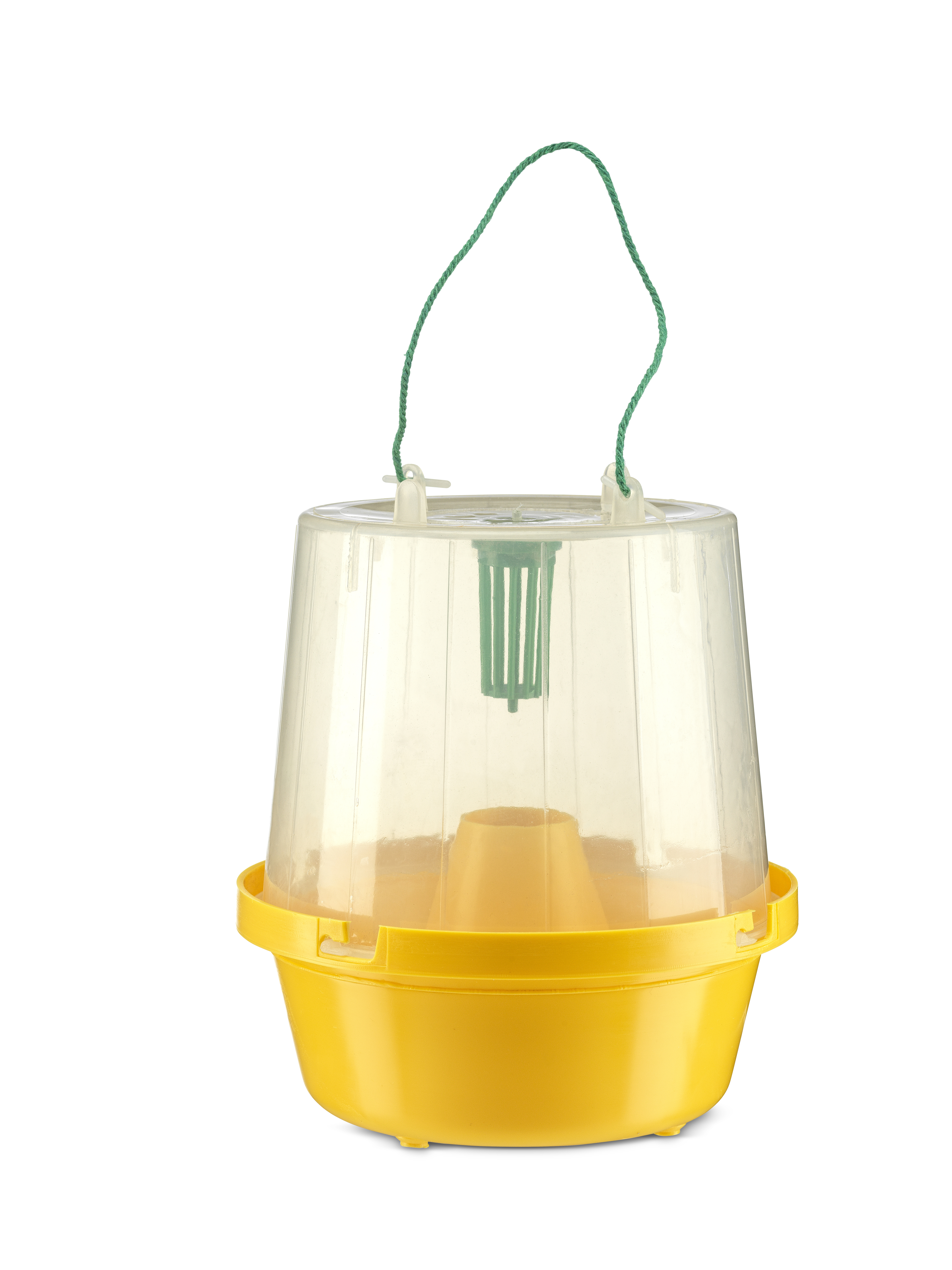 McPhail Trap